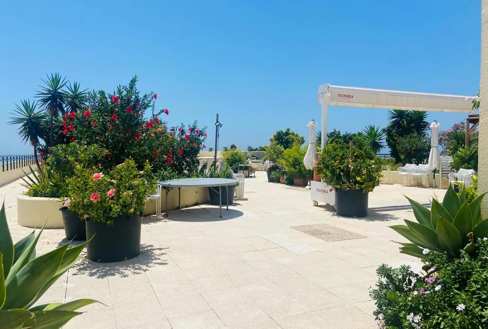 First Line Beach Studio/Center/5P! Marbella Spain